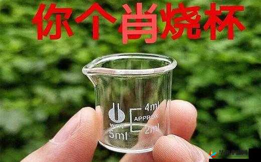 老公喊我烧杯究竟所指何意呢