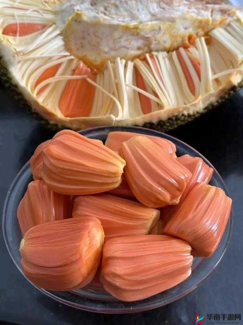 菠萝蜜麻豆一区精彩内容持续呈现