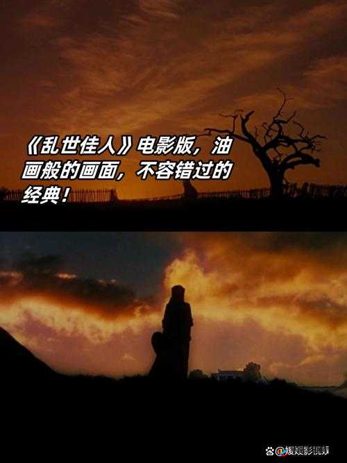 最好看的2019国语字幕电影：不容错过的精彩佳片