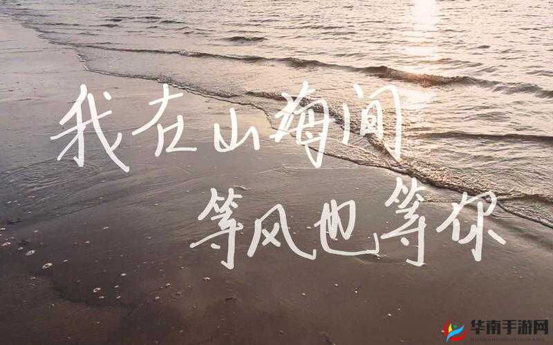 清风阁我爱干视频：精彩内容等你发现不容错过