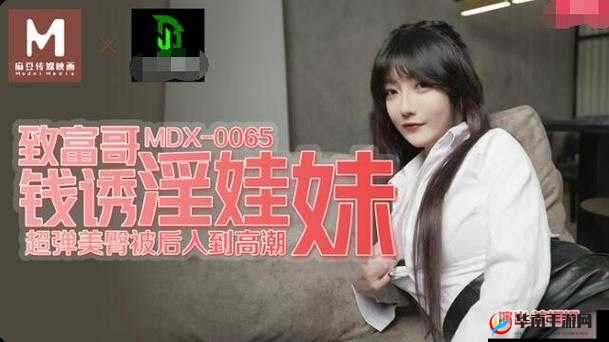 国产嫖妓达人在线精品：独特视角呈现别样精彩