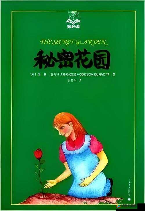 女人小穴 p：揭秘私密花园的奥秘