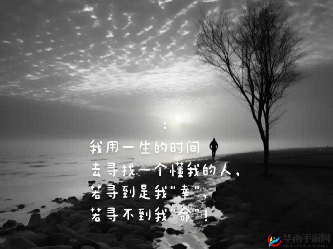 911 爱爱网：开启浪漫情感的全新世界