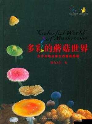 蘑菇色网：探寻色彩与形状的奇妙世界