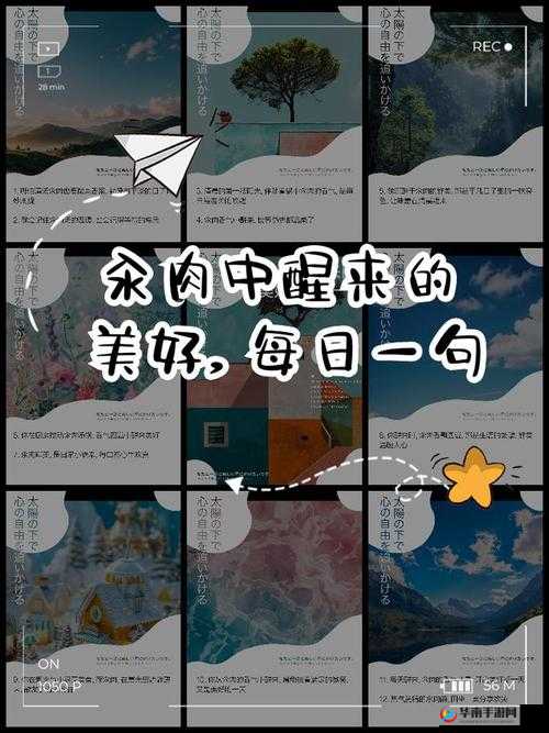 每天在汆肉中醒来军里：开启奇妙生活之旅