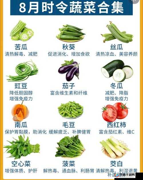 秋葵草莓茄子香蕉丝瓜榴莲 18：这些蔬果各自的特点与价值