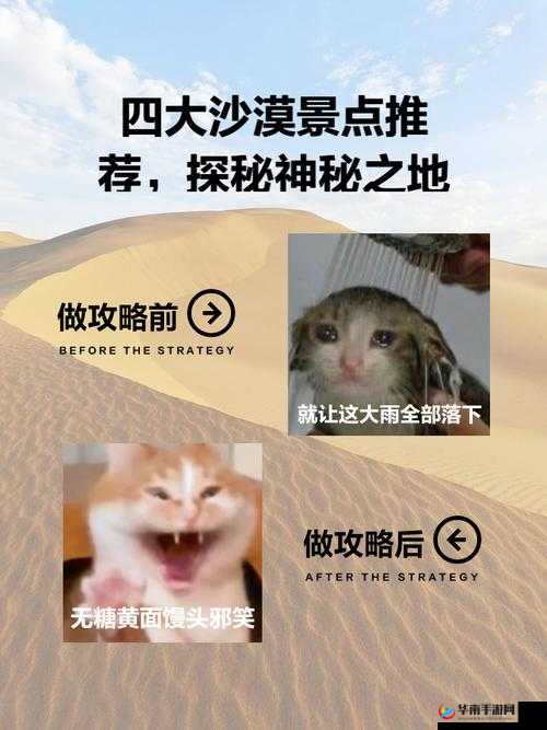 必看无人区一码二码三码：揭秘神秘之地的关键入口