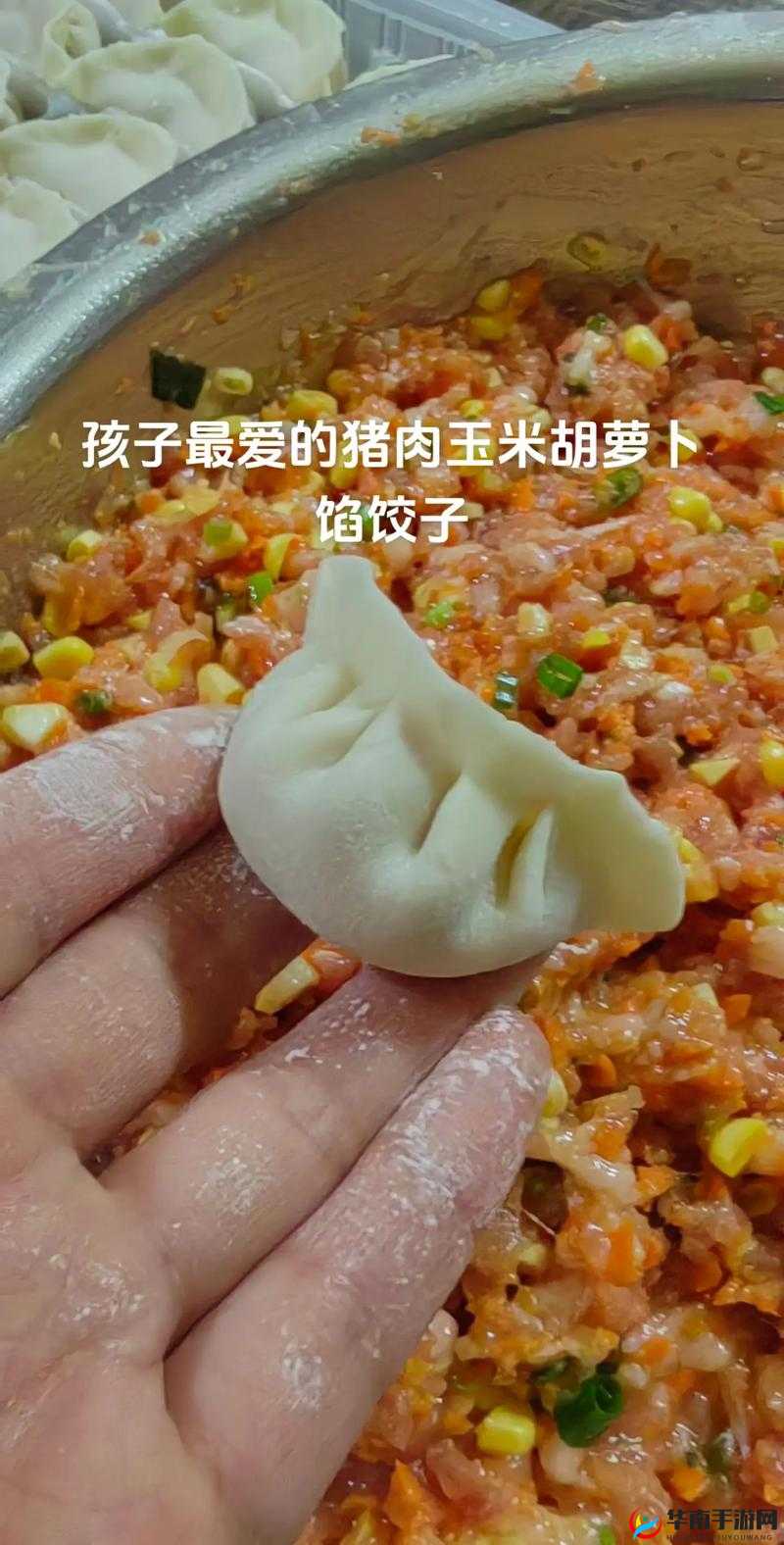 课后辅导 po 肉馅小水饺反映了人们对于自由的追求：其背后的深刻含义与影响