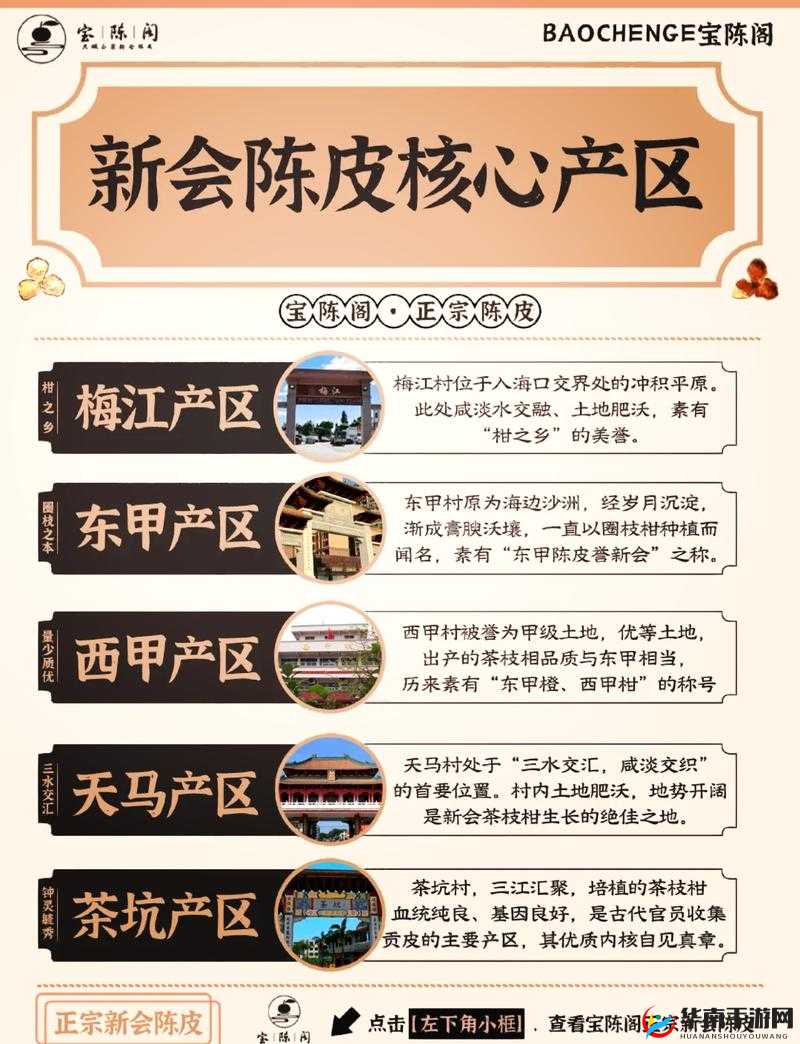 99 品一二三产区区别大揭秘：品质差异与特点解析