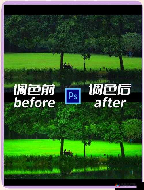 PS 一二级调色大片：让你的照片焕发出独特魅力的神奇技巧