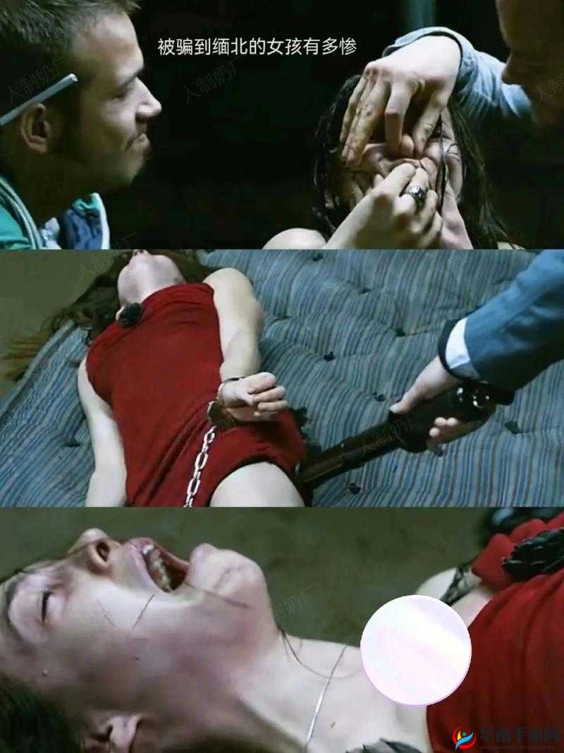 把你摁在地上摩擦如何机智回应：实用技巧和策略分享