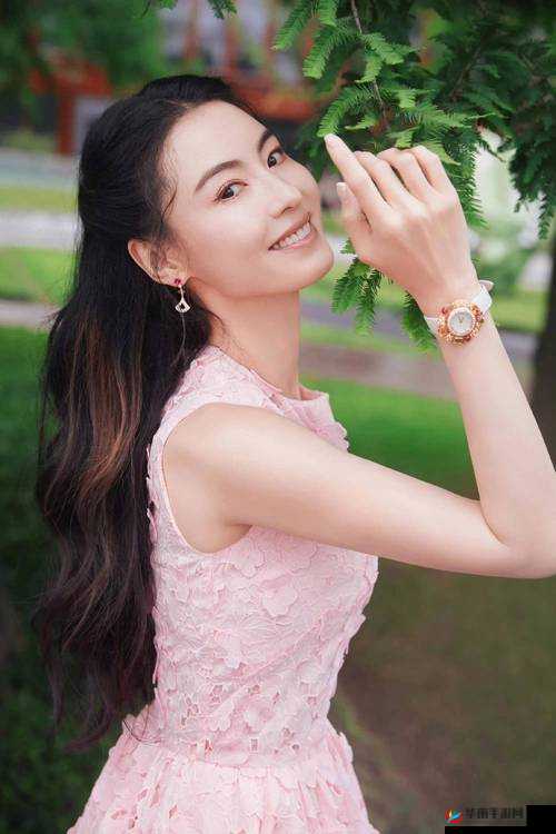 张柏芝雅照片全集 90 精彩呈现不容错过