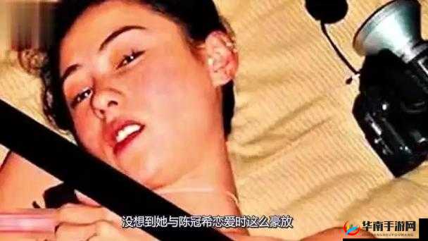 张柏芝不雅照片引发的争议与思考