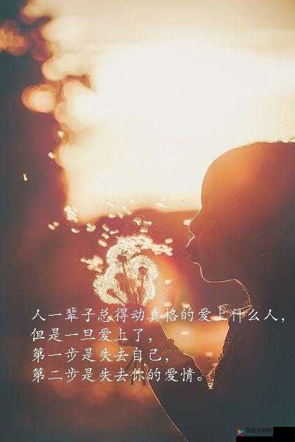 我还没用力你怎么那么痛什么歌：探寻其背后的情感密码