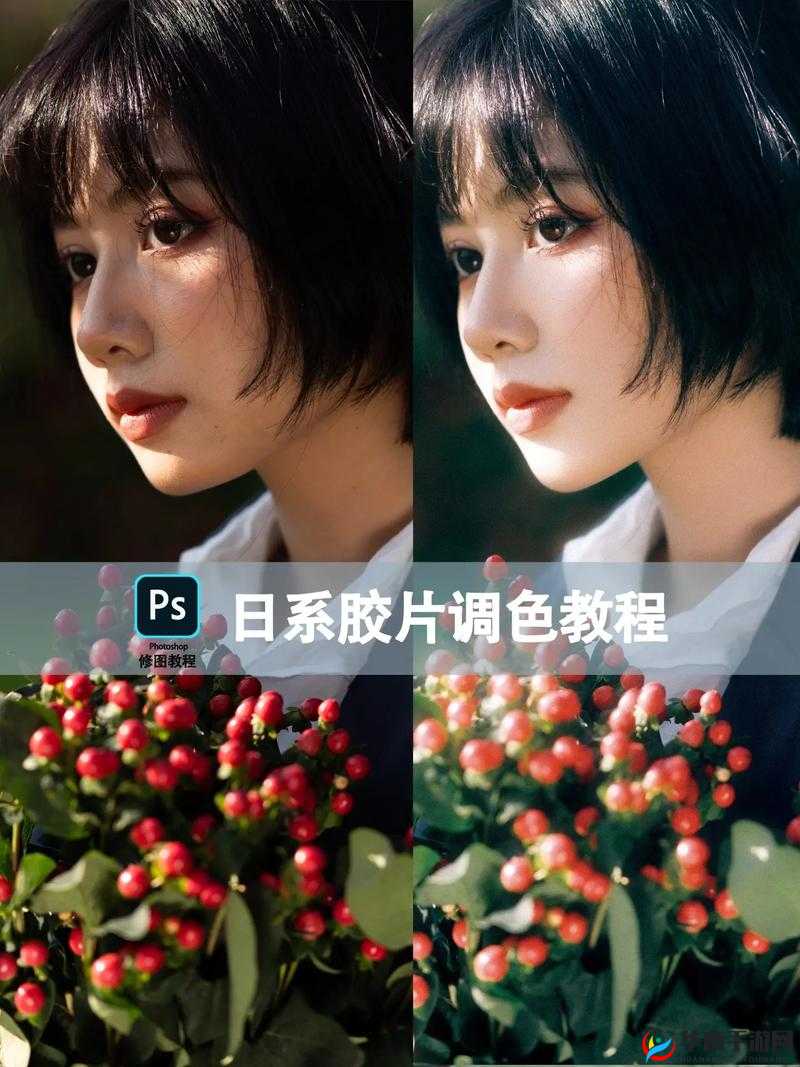 免费 PS 大片调色视频教程：专业技巧分享，轻松调出大片质感