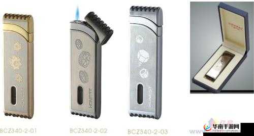 十种 B 型外形图片全览：独特多样的 B 型外观展示