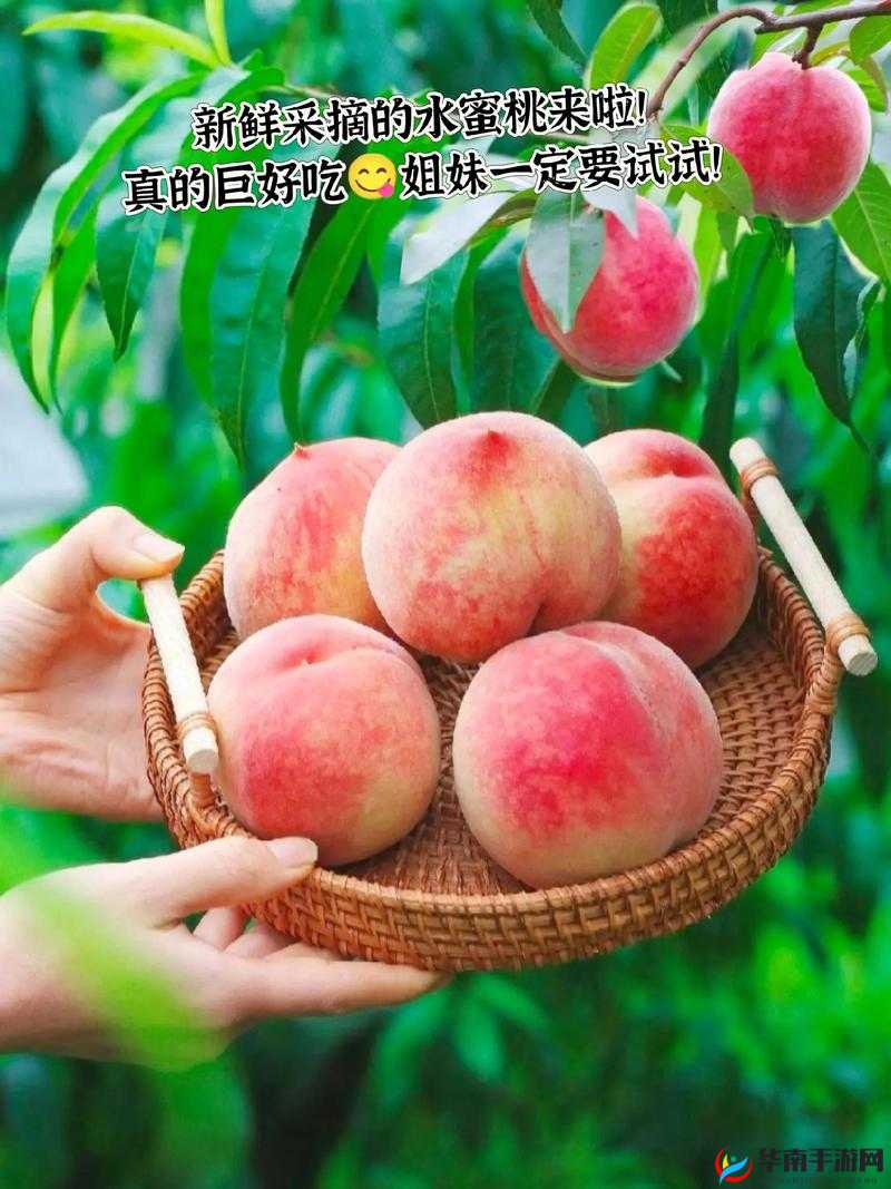 水蜜桃 水蜜桃 V2：带来甜蜜与惊喜的美味水果