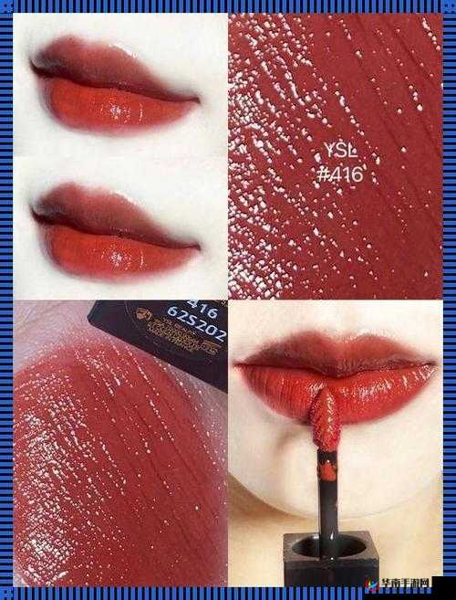 YSL 千色 T9T9T9：探索极致色彩的魅力之旅