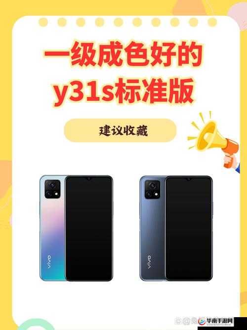 高质量一级成色好的 y31s 标准版评测-深度解析其卓越性能表现