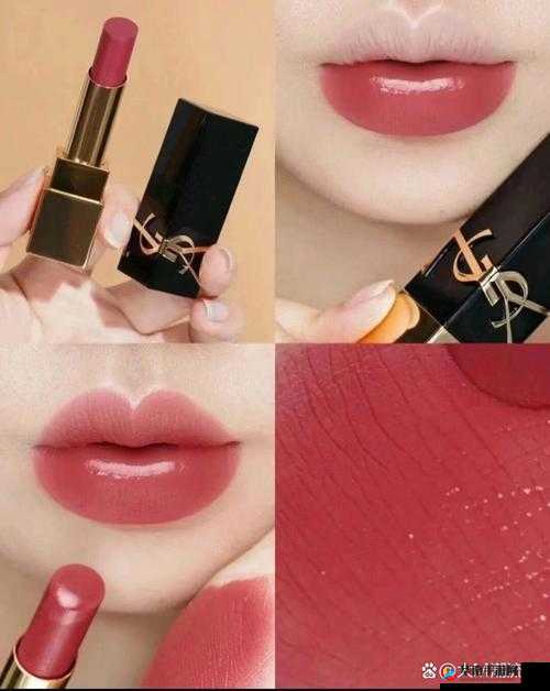 Ysl 蜜桃棕调色与美妆：探索魅力妆容的神奇密码