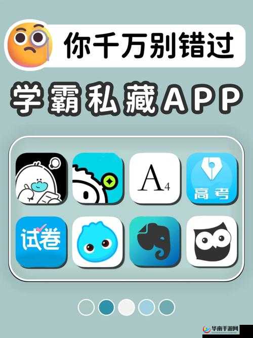 坐学霸的鸡上背单词：网红现象与教育的奇妙结合