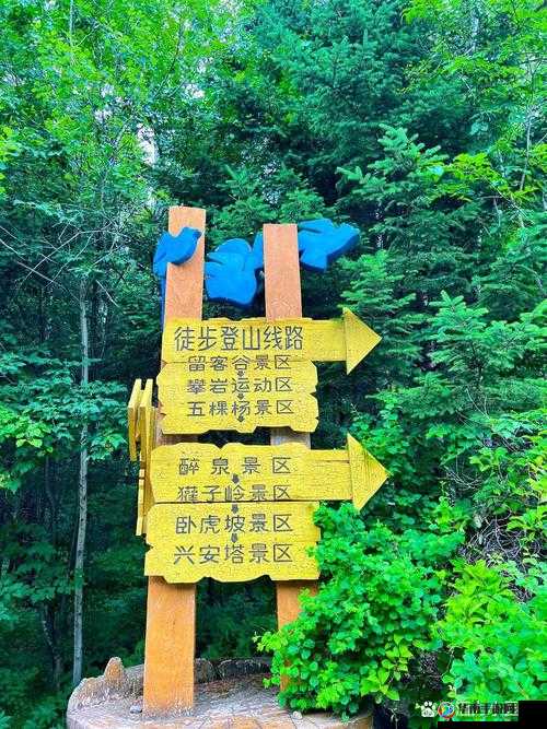 伊春园一路二路三路入口：探寻此地的独特魅力与发展机遇