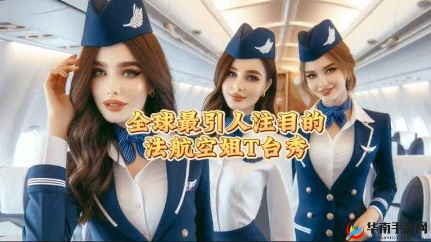 法国航乘 1：揭秘空中的浪漫与专业