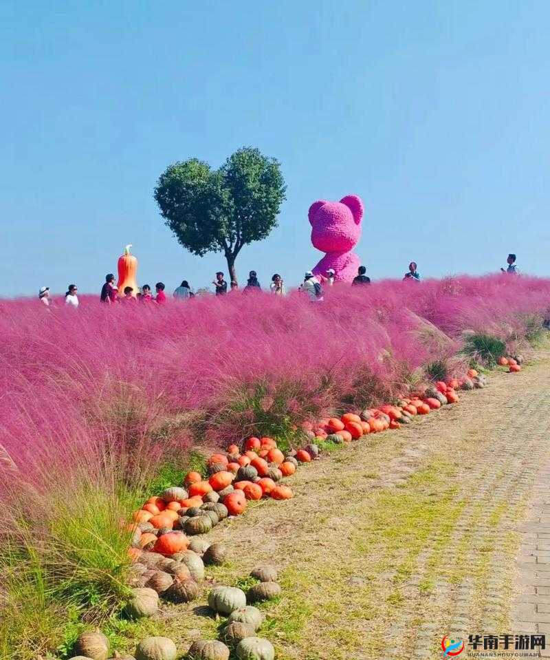 粉色ABB 苏州晶体：探索未知的奇妙之旅