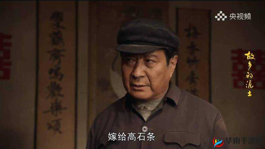 爸爸播种中国电视剧免费播放：经典好剧不容错过