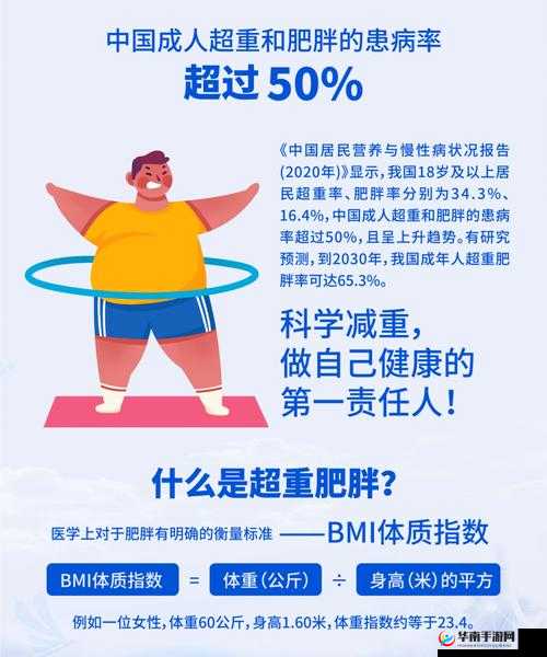 中国大肥胖 VPSWINDOWS：揭秘肥胖背后的秘密