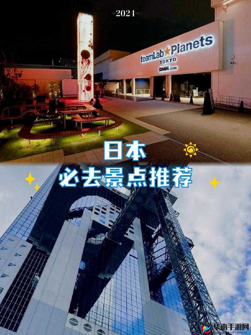 日本 xx 相关内容的独特魅力探讨