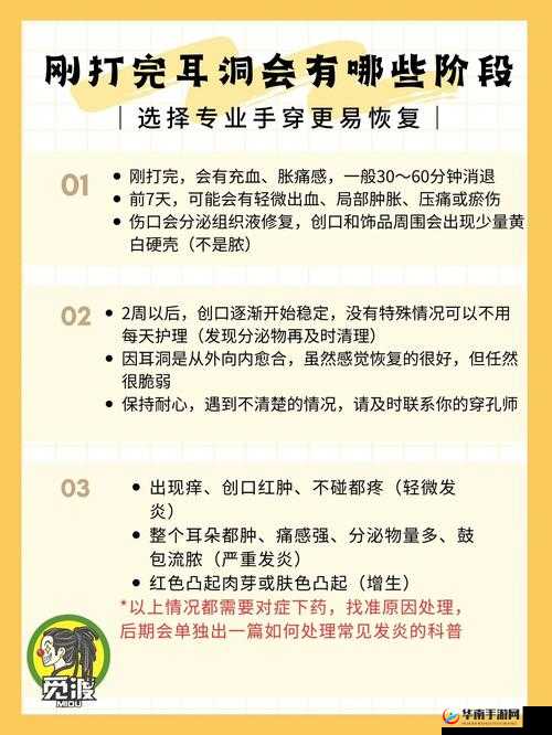 新手怎么自己扣：详细步骤与注意事项解析