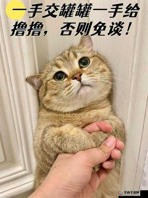 嘿呦一二呦无任何观看限制但需注意内容是否适合自身