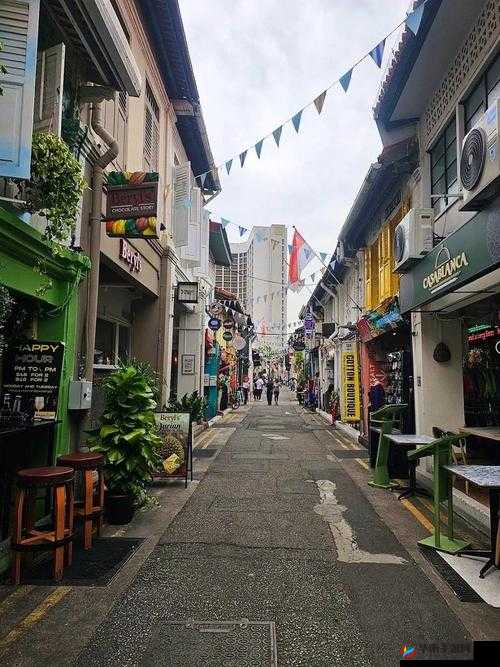 怪咖社区：一个充满独特魅力与多元文化的奇妙地方
