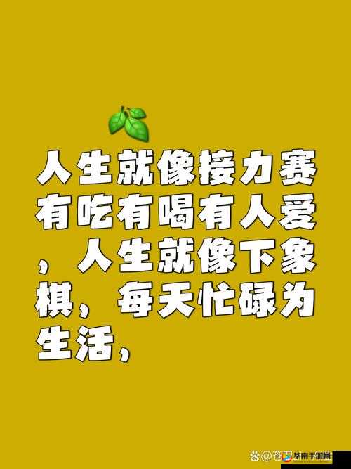 添花核心流水喝还是喝好这一问题到底该如何抉择呢