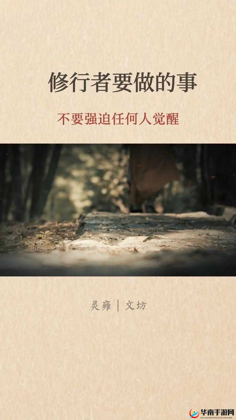 氺茤茤茤——那独特而神秘的存在