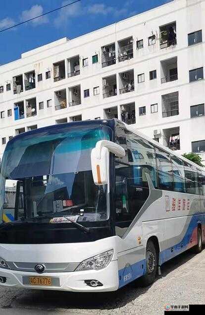 回乡大巴车最后一排：承载着归乡人满满的思绪与回忆