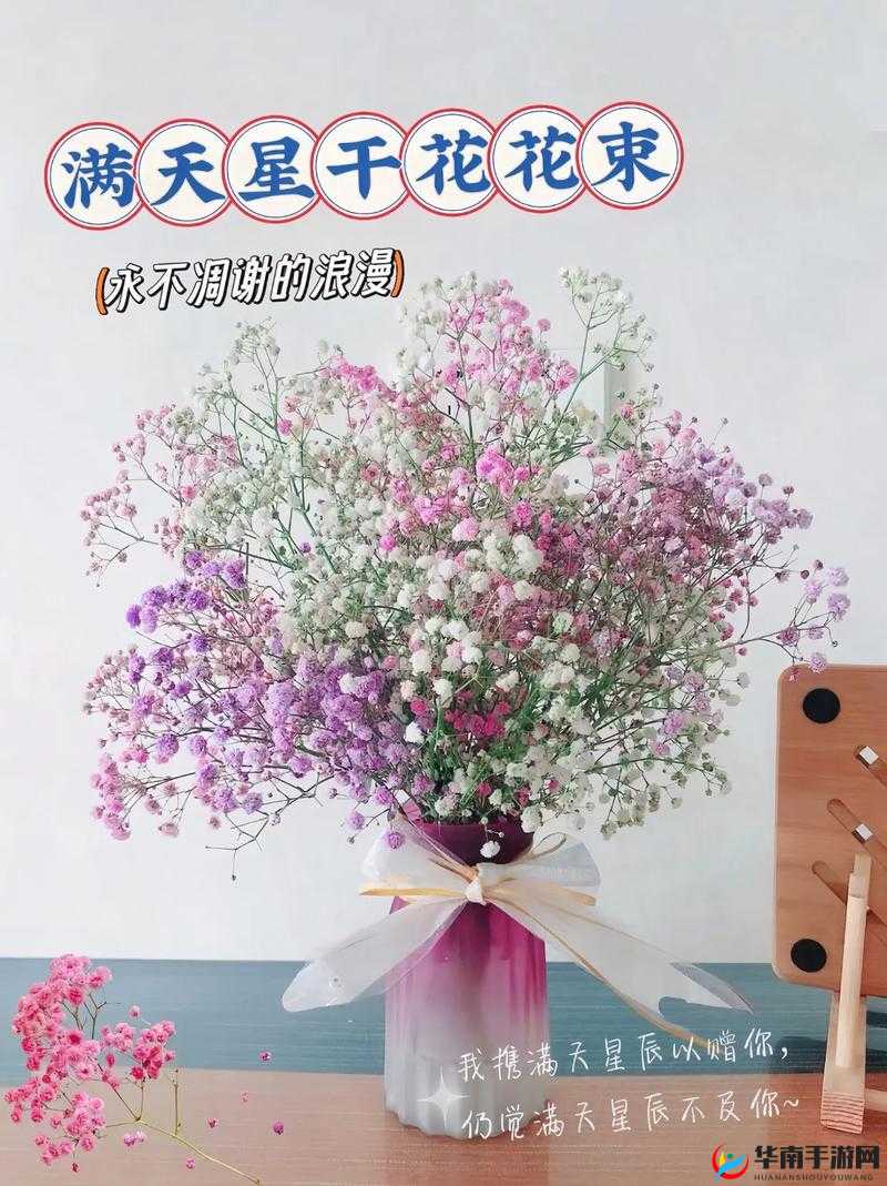 法国第一血女版满天星：令人惊叹的神秘花卉品种