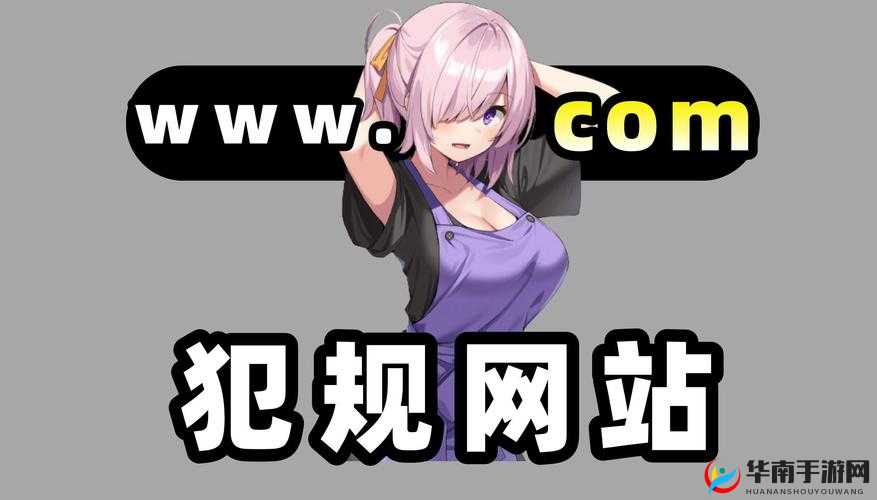 探索 www.深夜成人 网站破解版的独特魅力与奥秘