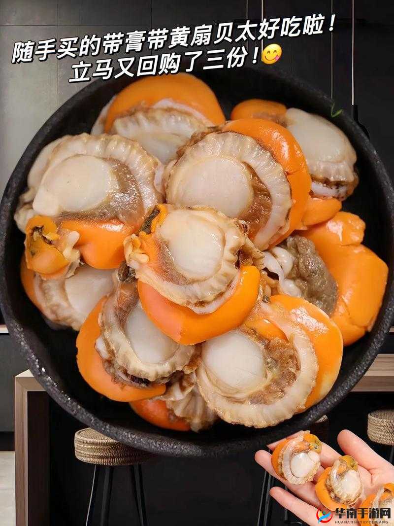 快让我吃一下你的小扇贝：一种别样的美食体验
