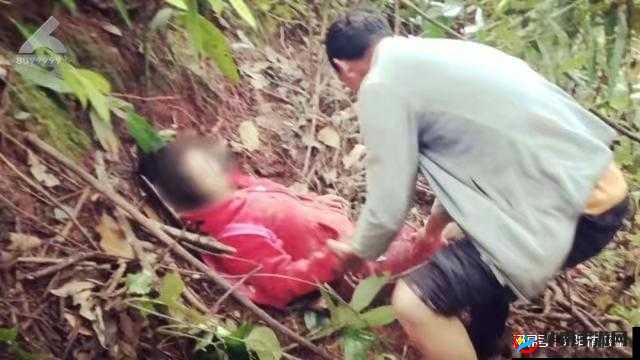 53 岁大妈山坡做皮肉买卖的缘故原：背后的辛酸与无奈