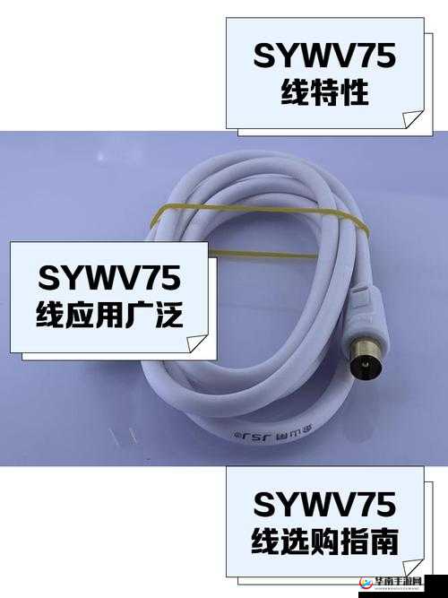家庭娱乐的新选择：高清电视线 SYWV7