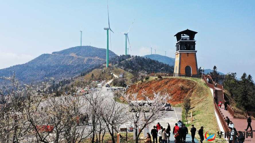 笑傲江湖迎新春，花开烂漫蛇年里，开启一段奇遇精彩之旅