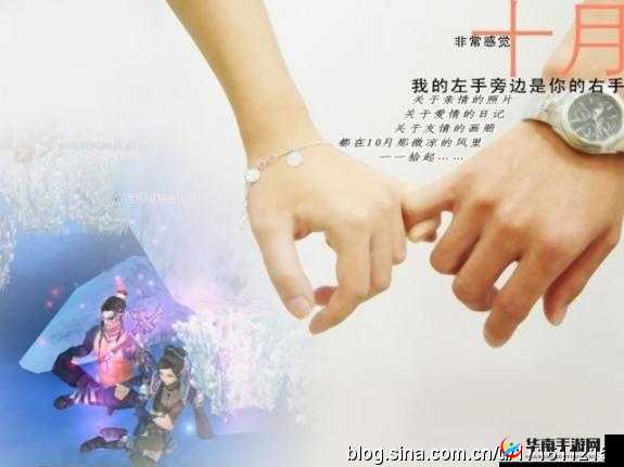 公交车上最后一排的爱：一段触动心灵的温暖邂逅