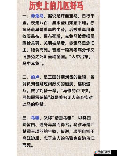 的卢马作为历史名将坐骑的象征，在资源管理中的重要性及高效策略探讨
