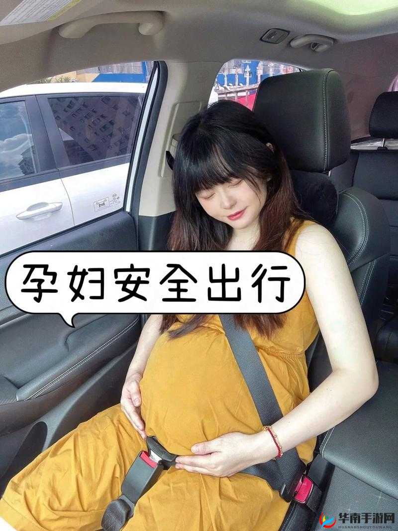 WHEELTPE 孕妇轮：为孕妇出行带来安全与便利的贴心伙伴