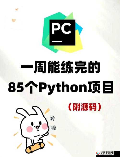 python 人马配对：探索独特的组合与奇妙互动