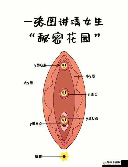 探索私密领域：探索女性身体敏感区的禁忌快感