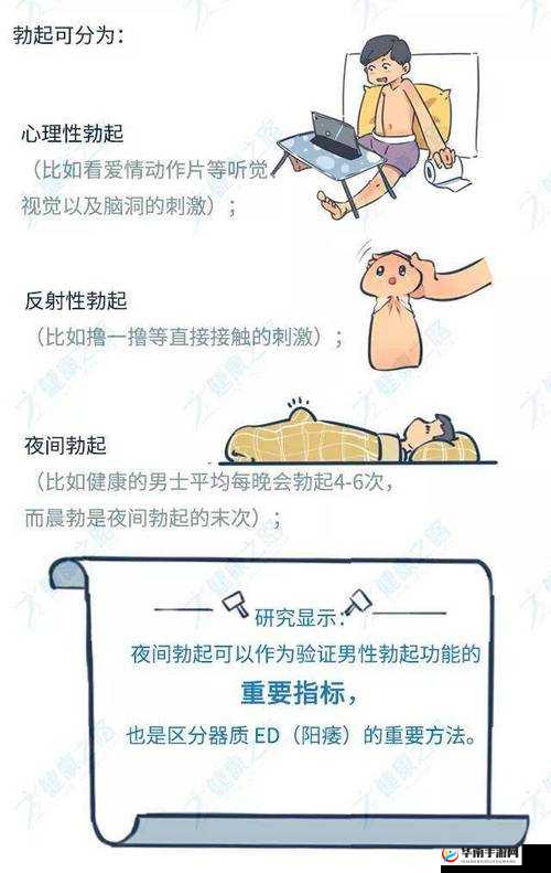 成人 18 禁啪啪免费网站：畅享激情无限之旅
