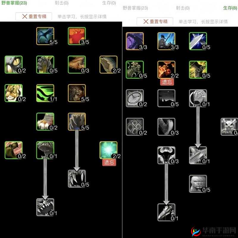 猎人剑术家的成长之路，精准技能加点与高效资源管理艺术探索
